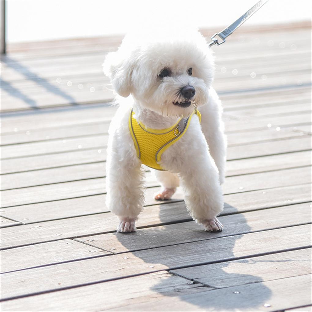 Pets Chest Strap Leash Set Soft Cute Support Walking Vest Working Harness Animal Breathable Halter Accessories