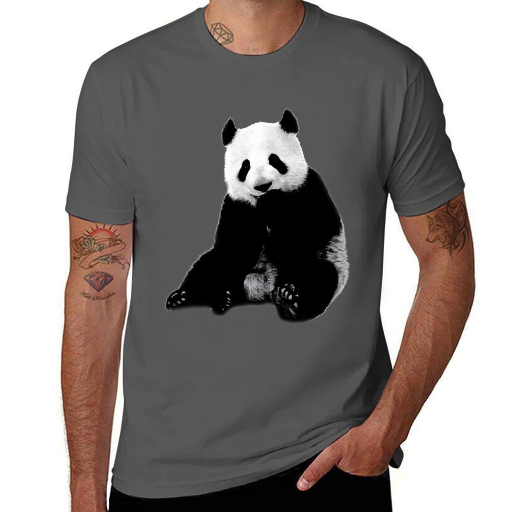 Cute Little Panda Bear Real Animal Tshirt Nonshrink Basic Cotton Tshirt