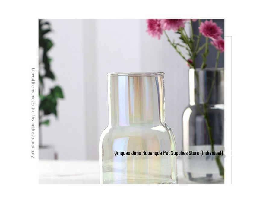 Transparent Minimalist Glass Vase for Office Decoration with Fresh or Dried Flowers