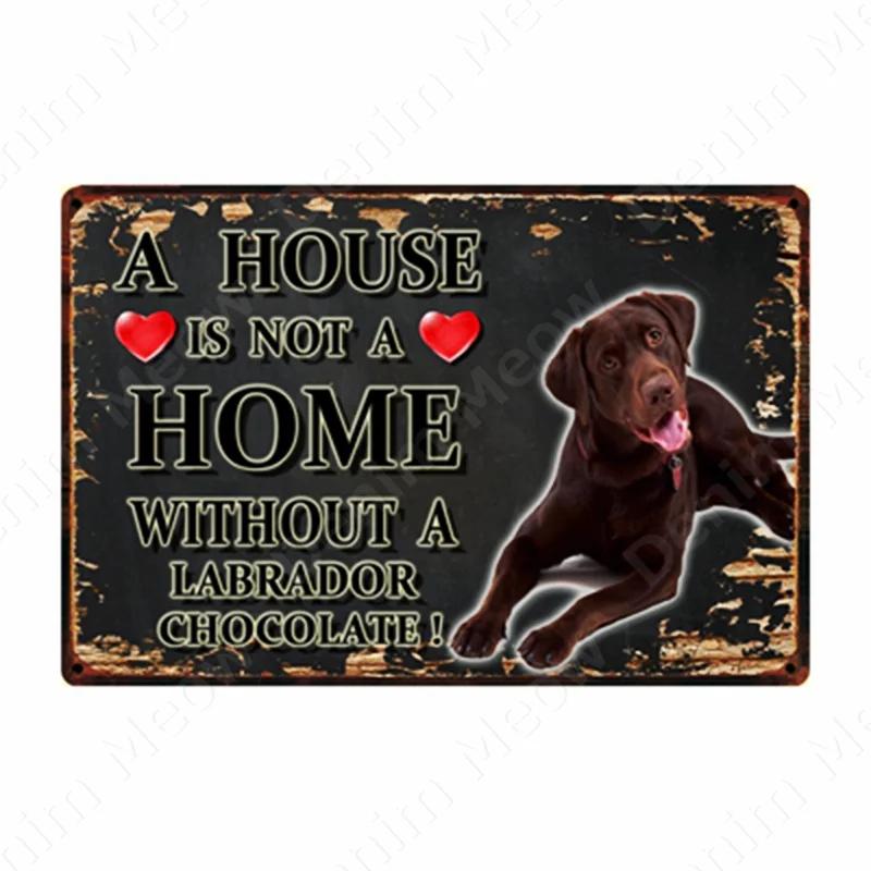 A House Is Not A Home Without A Dog Plaque, Vintage Metal Tin Signs, Bar, Cafe, Home Decor, Springer Spaniel, Wall Art Poster
