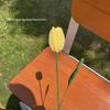 Buquê de Flores de Lã Tricotado à Mão: Ornamento de Rosa, Lírio, Girassol Presente