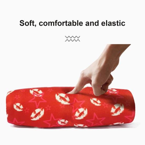 Yousheng Waterproof Pet Snack Bag Large Capacity Portable Dog Training Pocket Bag with Elastic Cord And Safety Clip for Training Essential