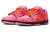 The Powerpuff Girls X Nike SB Dunk Low "Blossom" FD2631-600