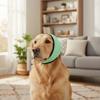 Anti-Noise Dog Ear Covers Noise Reduction Pet Ear Muffs Dog Calming Earmuff  Dog Grooming