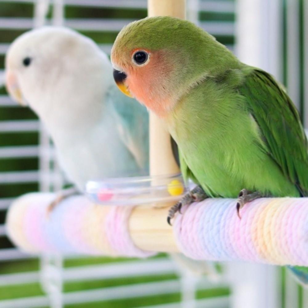 Bite Resistant Wood Parrot Swing Wear-resistant Parrot Swing Pole for Parrots Parakeets