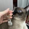 New Style Cat Hair Storage Bag Pendant Cute Pet Fur Souvenir Box Fashionable Versatile Keychain Accessories Gifts For Cat Lovers
