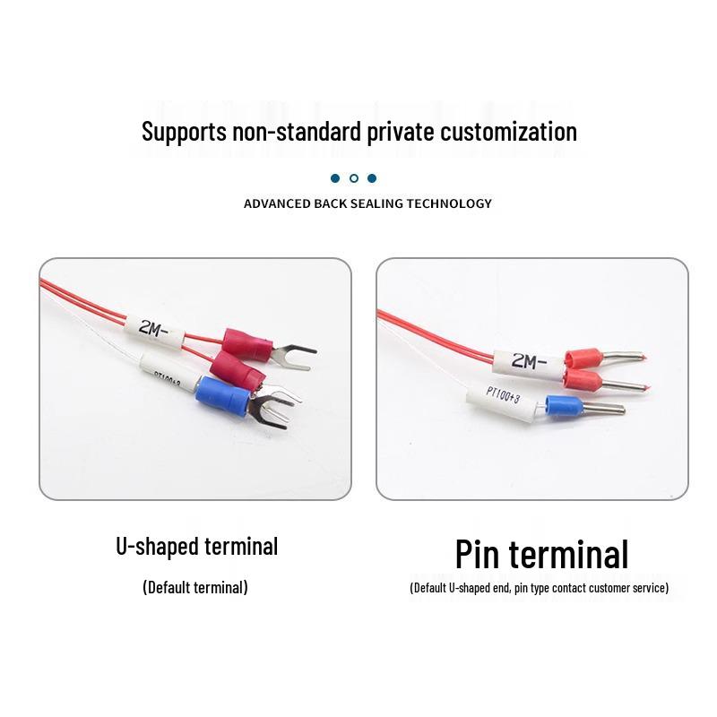 PT100 Platinum Resistance High-Temp Thermocouple Patch Probe for Industrial Temperature Measurement