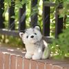 Simulation husky plush toy children's doll birthday gift doll machine doll company event gift