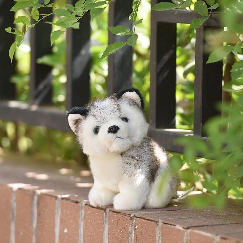 Simulation husky plush toy children's doll birthday gift doll machine doll company event gift