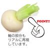 Food Sample Keychain Edible Turnip 331K [Coconut Accessories] -
