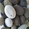 Factory Cleaning Scrub Brushes for Volcanic Pumice Stone Removes Skin Calluses Ideal Home Foot Care Massage Foot Bath SPA Tool