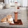 Post Furniture Bed Center Kitten