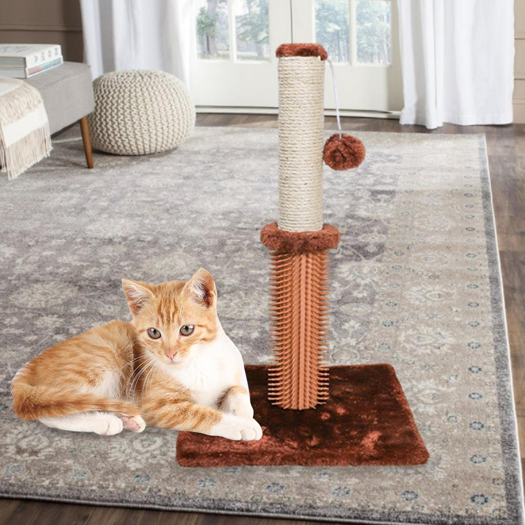 Post Furniture Bed Center Kitten