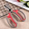 New Flower Shop Pruning Shears Stainless Steel Household Garden Gardening Flower Tools Scissors Strong Branch Pruning Scissors