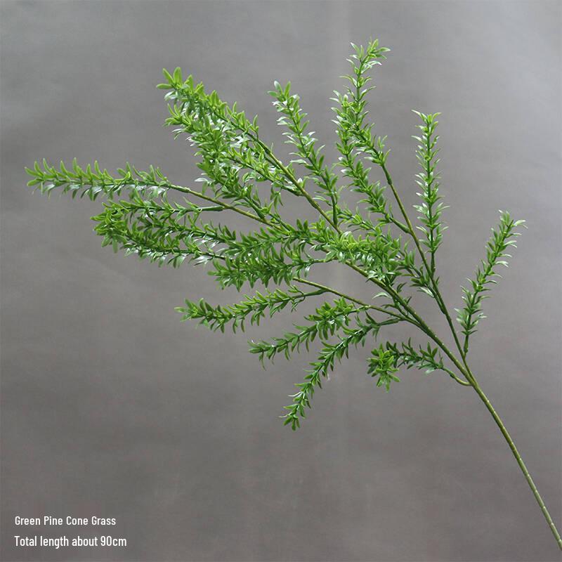 Asparagus Fern & Willow Buds Greenery for Wedding Decor & Landscaping