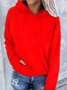 Women's Autumn/Winter Plus Velvet Loose Hooded Sweatshirt 2023