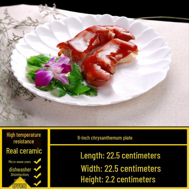 White Ceramic Irregular Dinner Plate