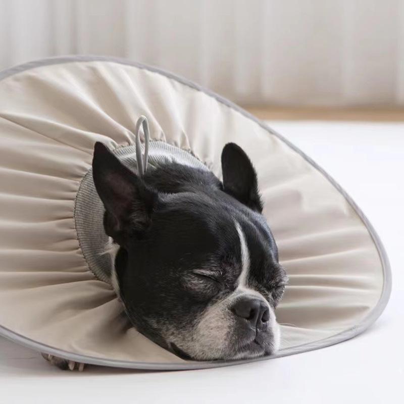 Cat Elizabethan Adjustable Collar Pet Dog Neck Cone Recovery Collar Anti-bite Protective Medical Neck Ring Pet Recovery Collar