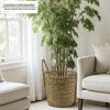 Handcrafted Straw Rope Indoor Plant Basket with Liner