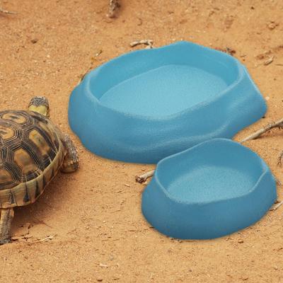 2 Pieces Reptile Bowl Food and Water Terrarium Plate Tank Decor Amphibian Feeding
