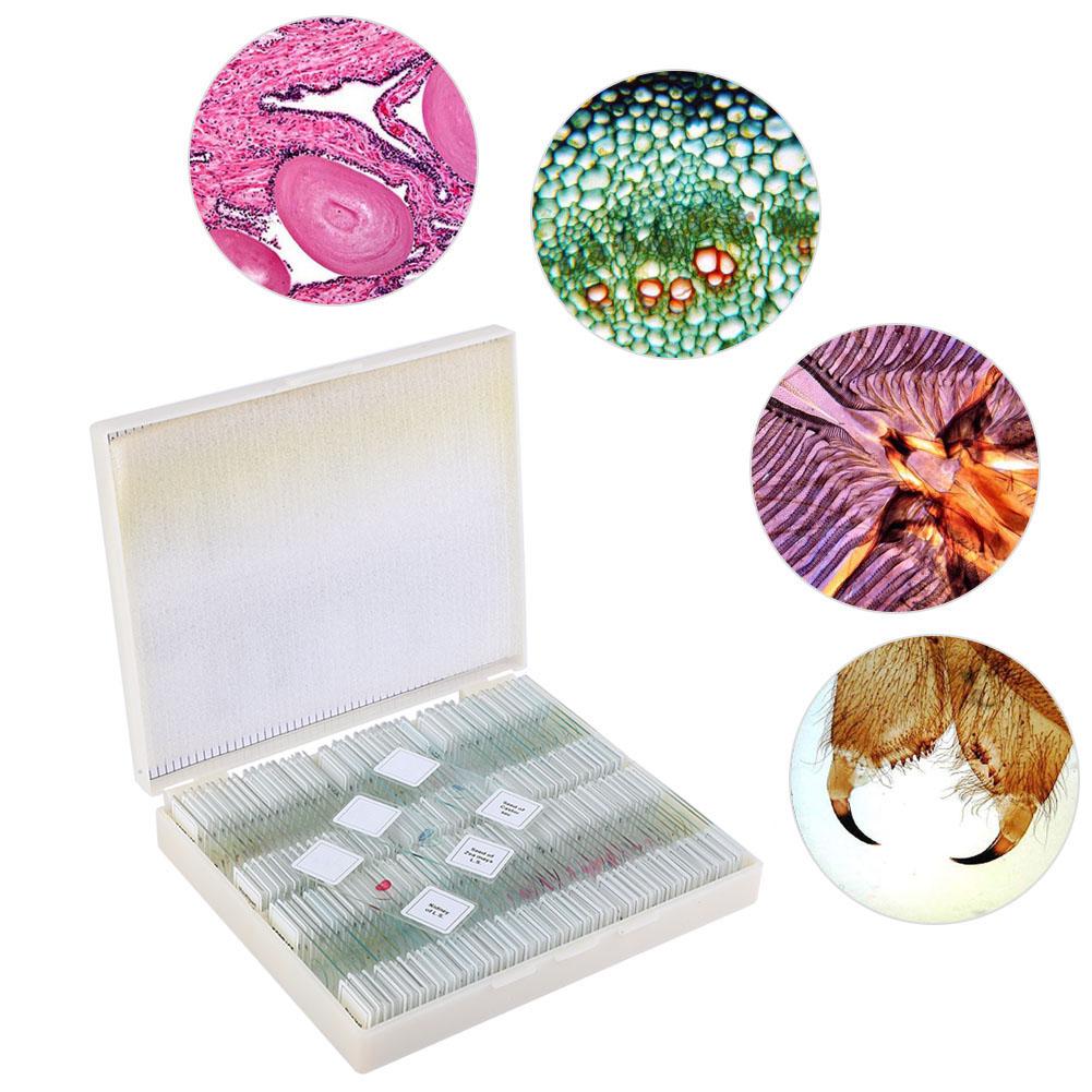 Set de diapozitive pentru secțiunea biologică pregătită pentru educația de bază în științe biologice 100 de diapozitive