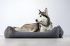 Caesar Sofa Gray Quilted - 60Cm X 50Cm