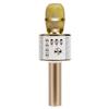 Guangfengyuan Kids' All-in-One Singing Microphone & Speaker