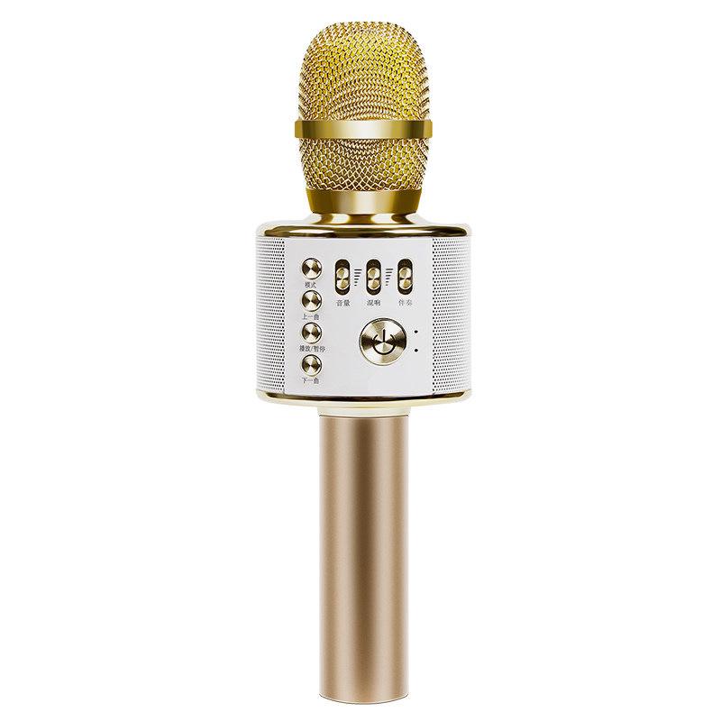 Guangfengyuan Kids' All-in-One Singing Microphone & Speaker