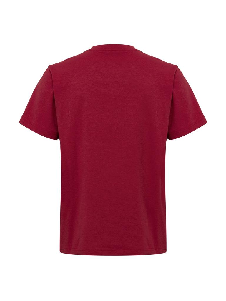 EIDER Brise Uni Graphic Short Sleeve Round Neck T-Shirt_Dark Red