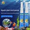 Fische & Meerestiere – Aquarien-Einrichtung