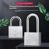 Premium Heavy Duty Iron Lock Anti Theft Reliable Security Lock for Family Home Door Office Gate Indoor Protection