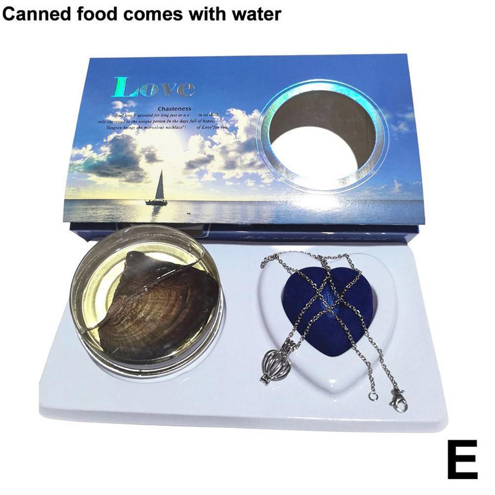 Wish Pearl Necklace Kit Innovative Chain Charm For Holiday Gift Diy Jewelry Making DIY Wish Pearl Necklace Kit