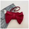 Korean Bowknot Women's Pleated Shoulder Bag 2025 - New Fashion Large Capacity Crossbody Underarm Bag