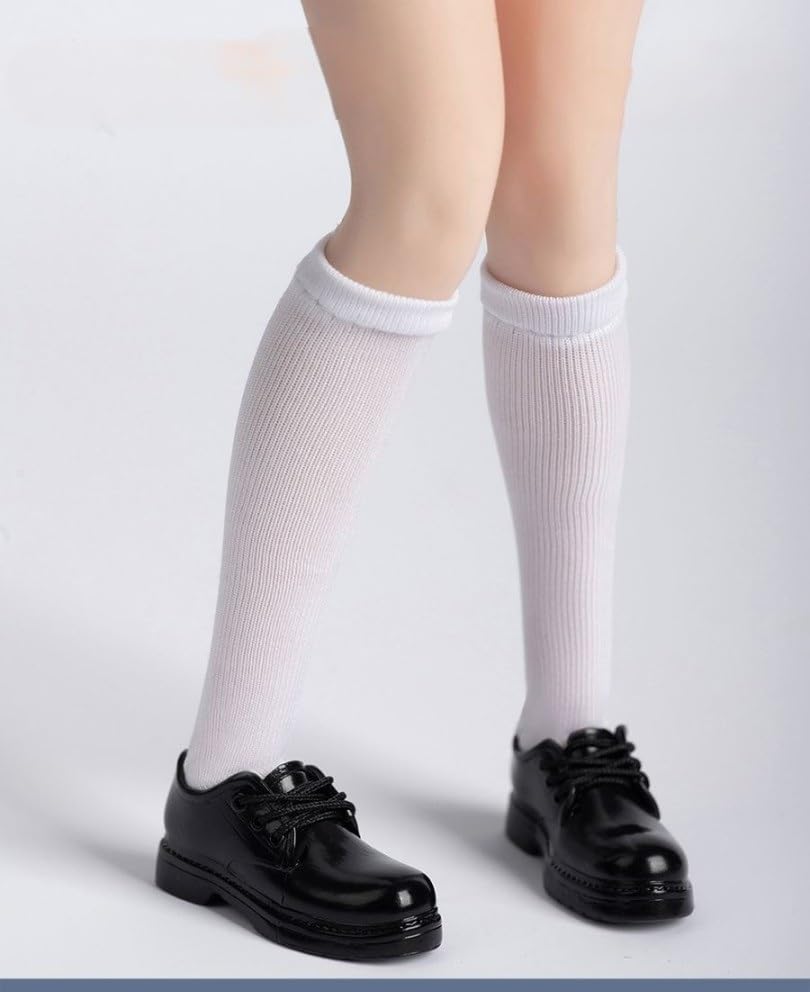 

Figure for TBLeague Body ZYTOYS ZY1039 High School Girl JK Knee Socks Student Socks Stockings Head and Shoes Not [TOYBARJAPAN] 1/6
