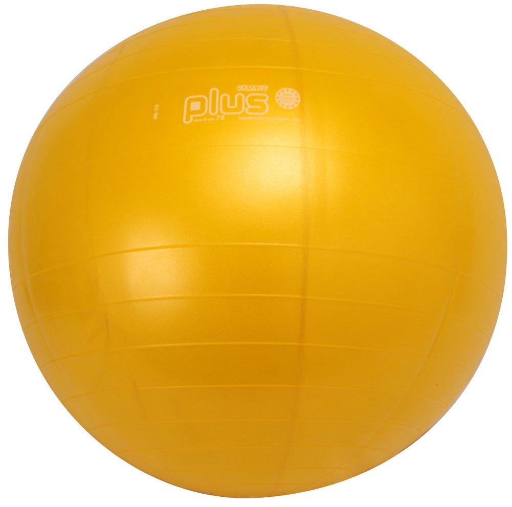 

Мяч DANNO Gymnik Color Ball PLUS 75 см D5423Y Желтый