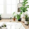 10pcs Flower Pot Mat Garden Plant Round Pot Base Clear Snack High Quality