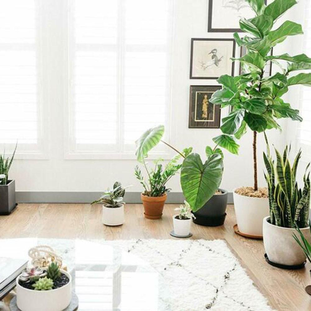 10pcs Flower Pot Mat Garden Plant Round Pot Base Clear Snack High Quality