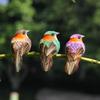 6PCS Mixed Color Artificial Birds Foam Faux Foam Animal Artificial Bird Model  Garden Ornament