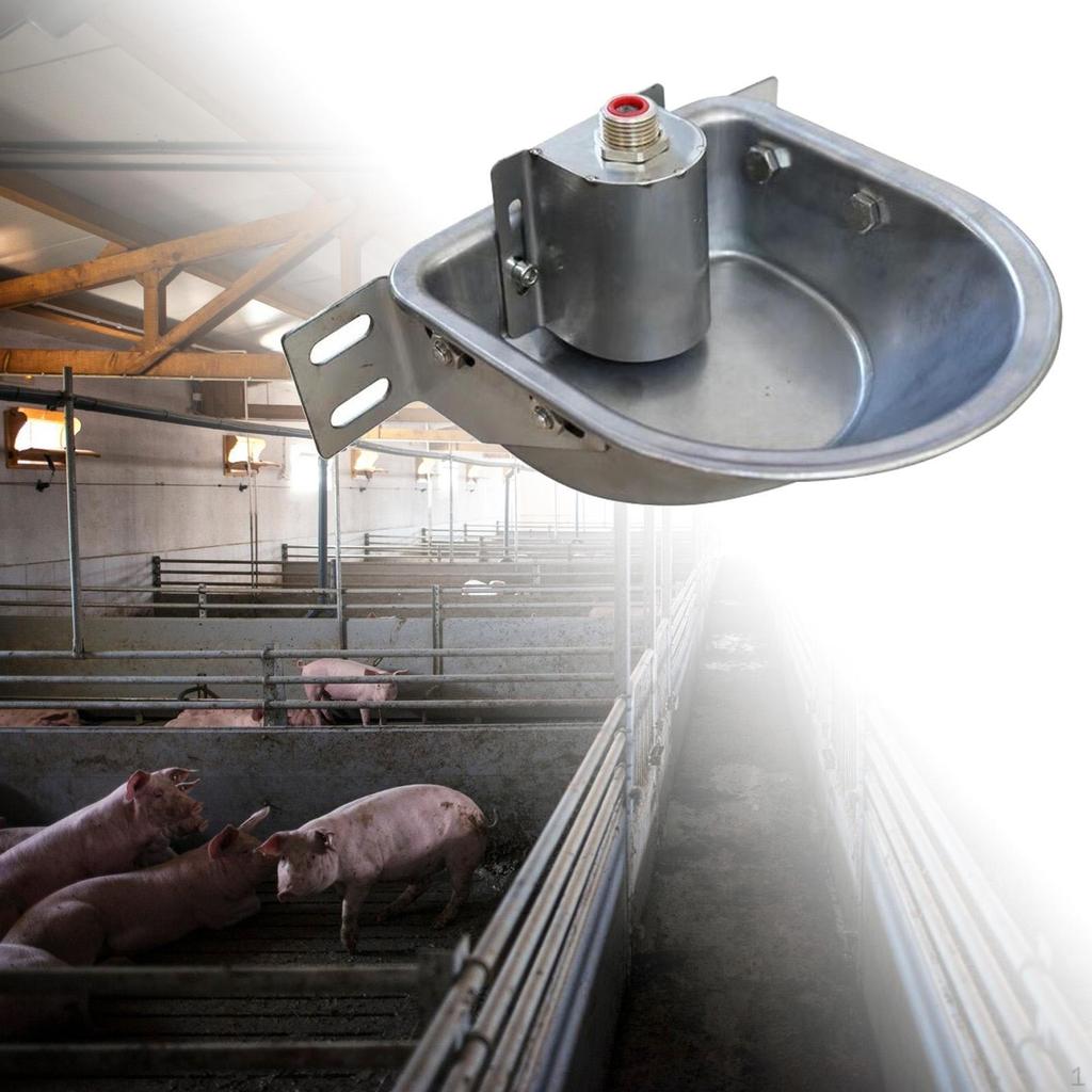 Automatic Sheep Drinker, , Waterer, Water Dispenser for, Feeding Piglets, Calves And Lawn.