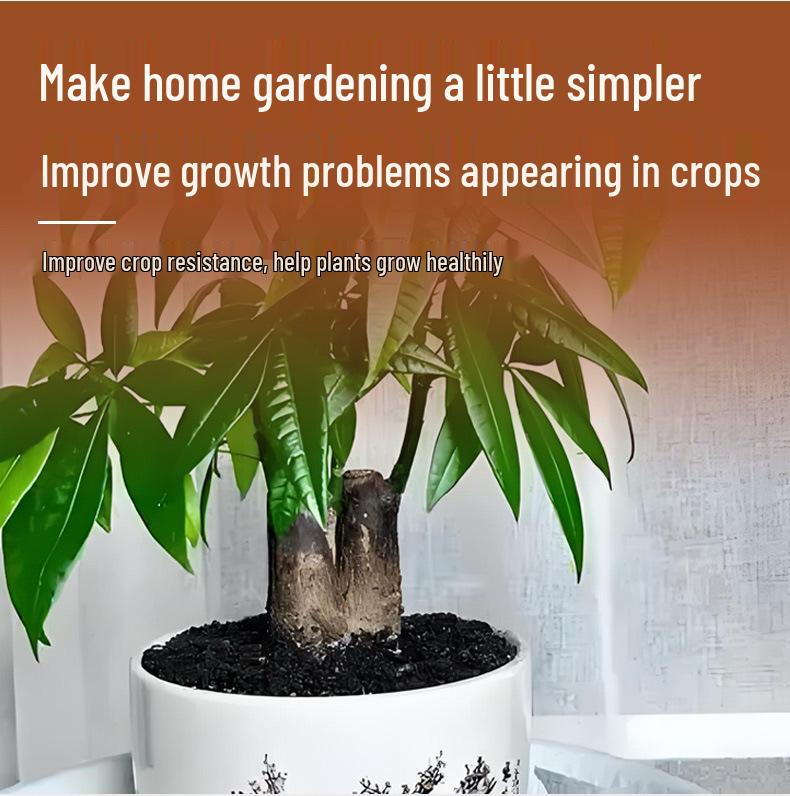 Aishangke Roztok pro revitalizaci rostlin: Univerzální hnojivo pro květiny, peněžní stromy a sukulenty.