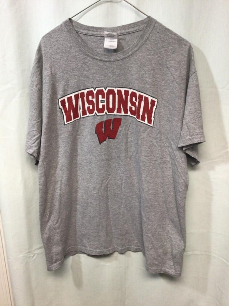 Wisconsin (Tassi) T-shirt Grigia Larga