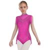 Girls Dance Costume - Shiny Rhinestone Leotard with Sheer Mesh, Invisible Back Zipper & Attached Tassel Skirt