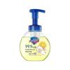 Safeguard Gentle Anti-bacterial Foaming Hand Wash