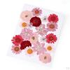 Dried Flowers DIY Decorative for Resin Jewelry Making Crafts Nail Stickers