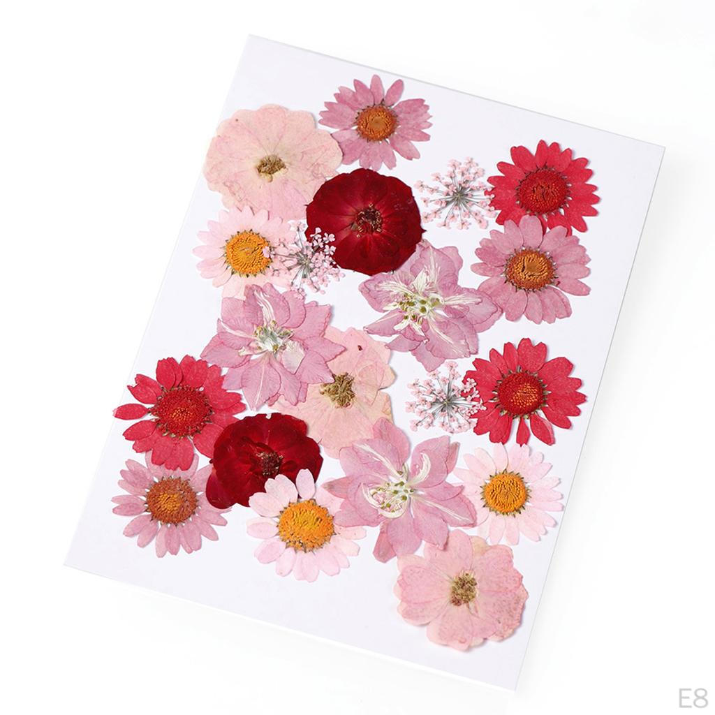Dried Flowers DIY Decorative for Resin Jewelry Making Crafts Nail Stickers
