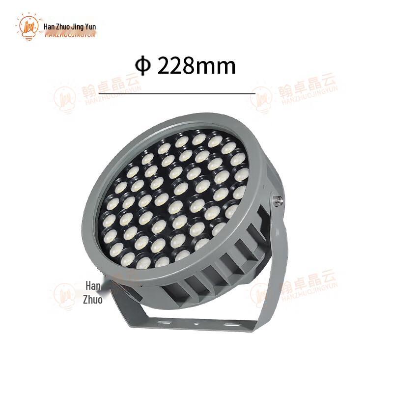 Outdoor Waterproof LED Landscape Floodlight