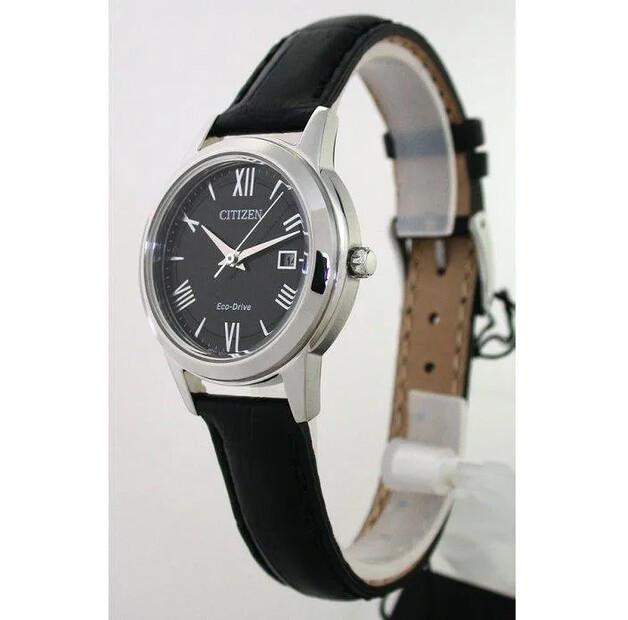 Citizen Eco-Drive FE1081-08E Watch