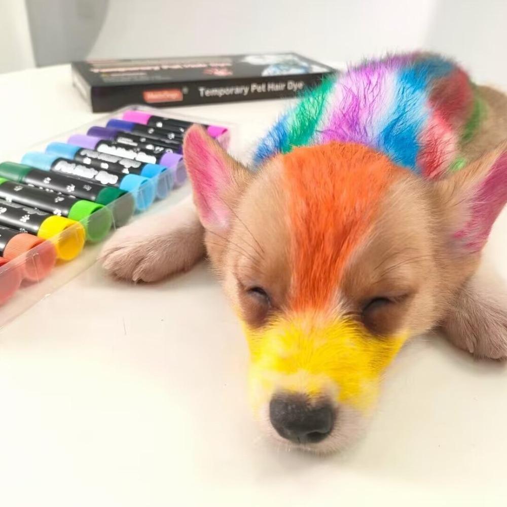 6 Farben Haarfärbemittel für Haustiere Wasserlöslich Lebendige Farben Waschbar Schnelltrocknend Ungiftig Haarfärbestift für Hund Katze