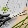 ZWILLING Kitchen Cooking Separate Twin Kitchen Disassembled Japanese TWIN L ZWILLING Scissors, Scissors, Type, L, Scissors, Scissors, [Official