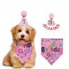New Style Pet Party Hat & Bow Tie Set for Cats & Dogs